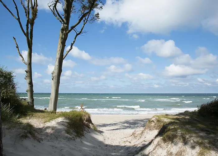 Seeadler 11 펜션 풀렌도르프