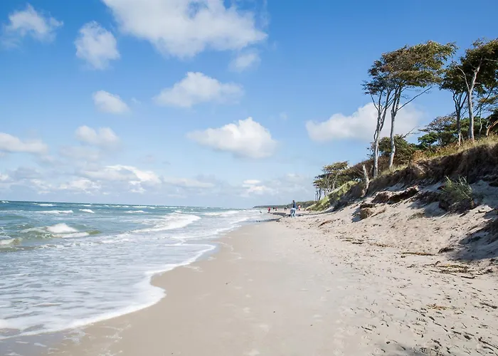 펜션 Seeadler 11 *